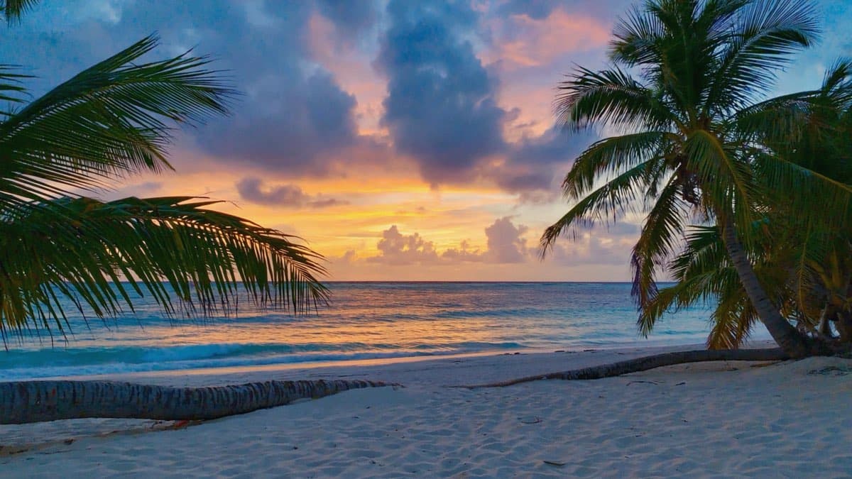 Caribbean