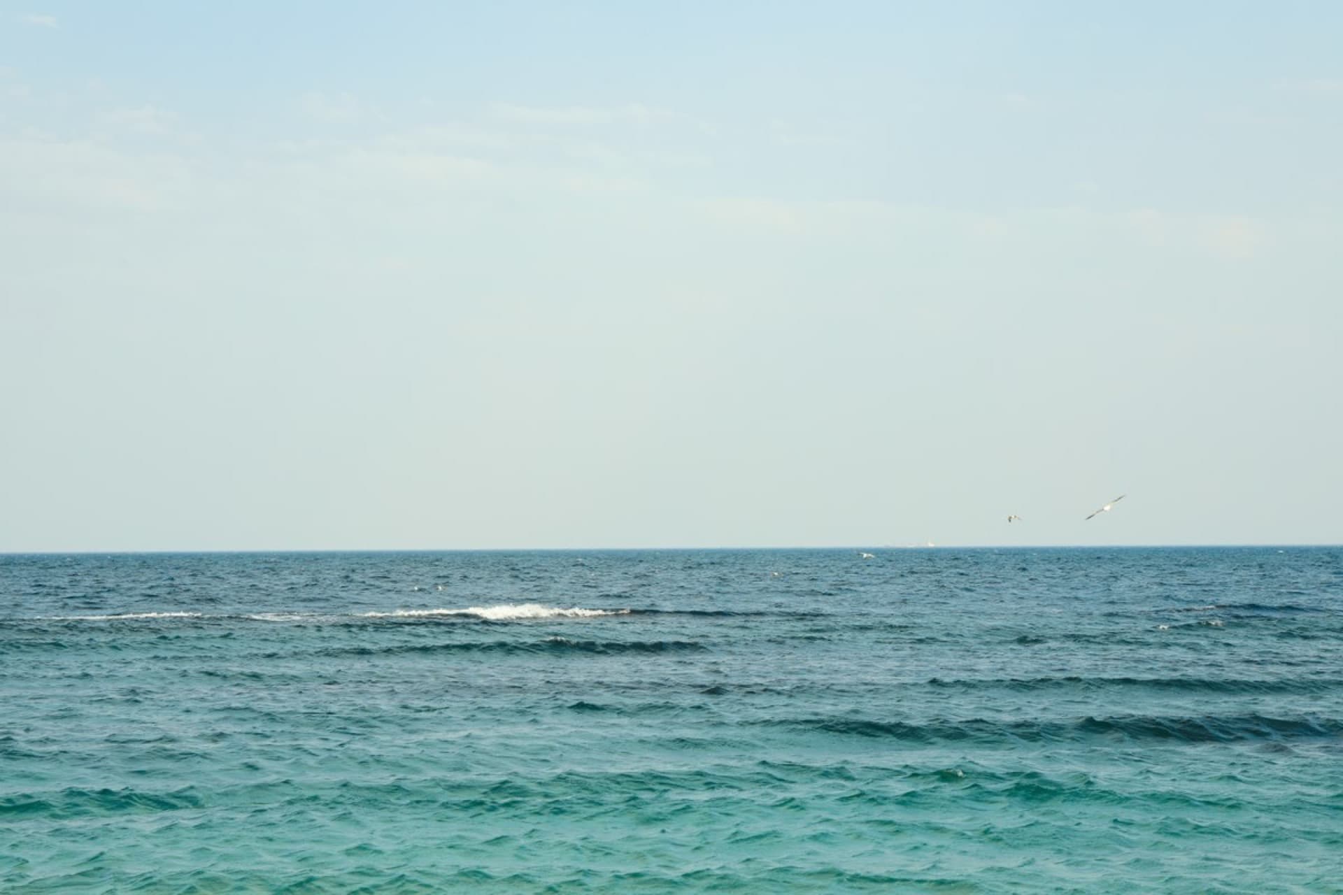 Fort Lauderdale